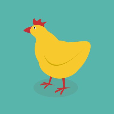 Tavuk vektör çizim. Tavuk kuş arka plan üzerinde izole karikatür. Vektör çizim.