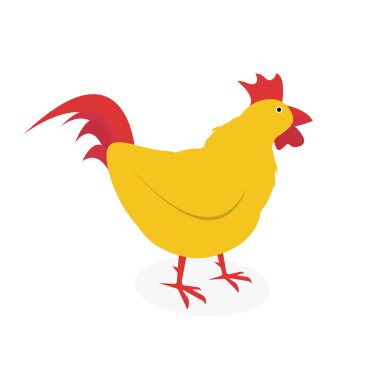 Horoz beyaz arka plan üzerinde izole. Vektör