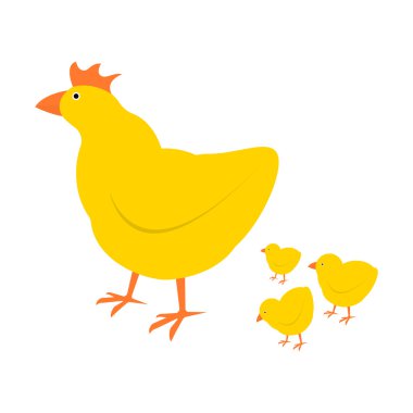 Tavuk anne ve chuk çocuk vektör illüstrasyon. Karikatür tavuk kuş arka planda izole.