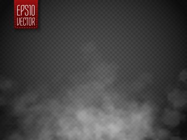 Sis ya da duman izole edilmiş şeffaf özel efekt. Beyaz vektör bulanıklığı, sis veya sis arkaplanı. Vektör illüstrasyonu