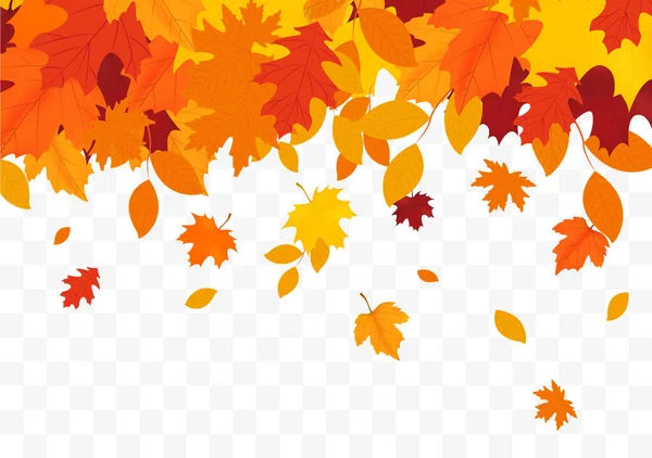 Outono folhas caindo isolado — Vetor de Stock