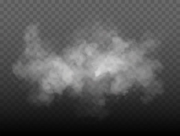 Sis ya da duman, beyaz bulutluluk — Stok Vektör