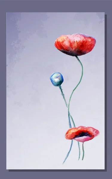 Cartão de flores de papoula aquarela —  Vetores de Stock