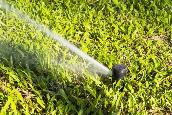 Arroseur automatique de travail dans le jardin à midi — Photo