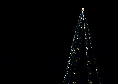 Resim yazısı için aralığı ile Noel ağacı ışıkları