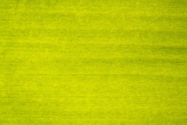 Verde banana folha textura fundo — Fotografia de Stock