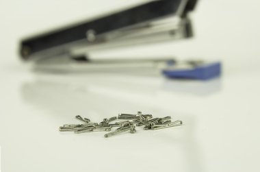 Zımba ve Tel zımba izole beyaz zemin üzerine