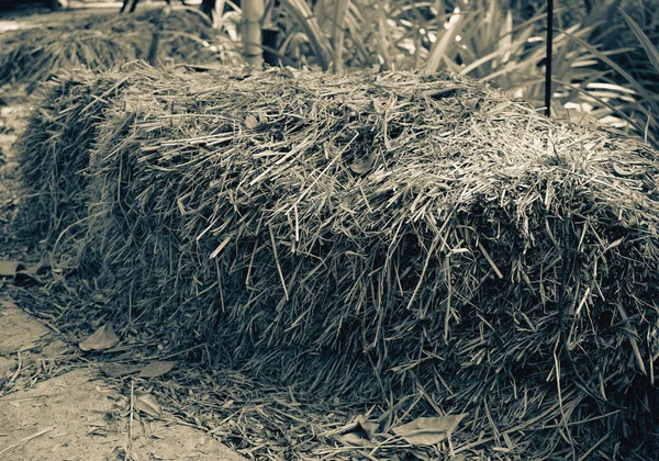 Dried haystack in farm — Stock Photo, Image
