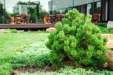 arka bahçesinde çevre düzenlemesi ile.