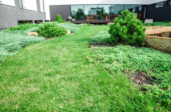 Backyard with landscaping. — Stock Photo, Image