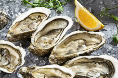 Çiğ Zeeland, limonlu buzun üzerinde açık deniz kabuklarıyla krem sürüyor.