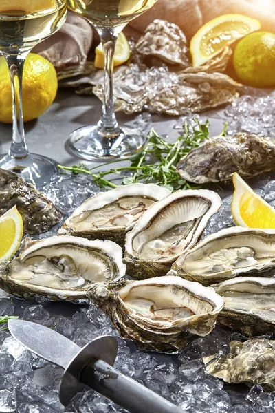 Ostras cruas em conchas abertas no gelo com limão e vinho branco — Fotografia de Stock