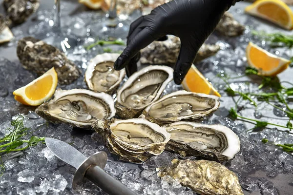 Mão na luva chegando para ostras servidas em conchas abertas — Fotografia de Stock