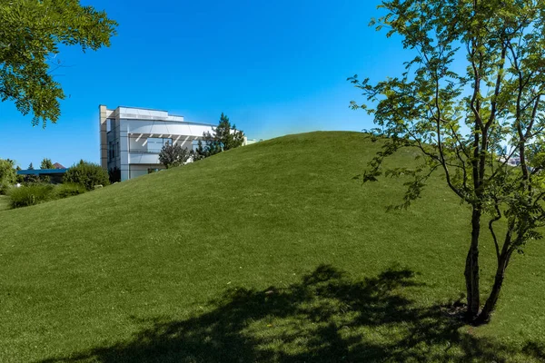 Patio cuidado de mansión de lujo con colina cubierta de hierba verde en verano — Foto de Stock