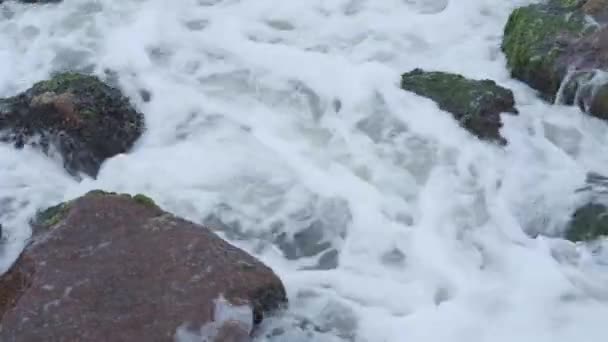 Skummande havsvågor krossar om alger täckta stenblock — Stockvideo