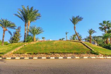Yol ve palmiye ağaçları yakınındaki oteller görünümüne