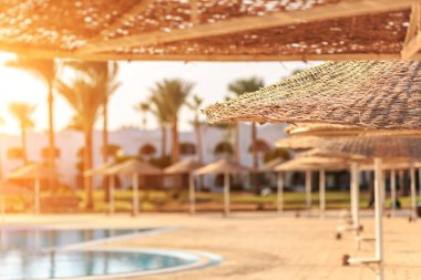 Mısır yüzme havuzunda karşı hasır şemsiyeler, görüntüleme