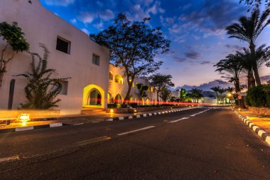 Görünüm yol aydınlatma, beyaz daireler için akşam, palmiyeler