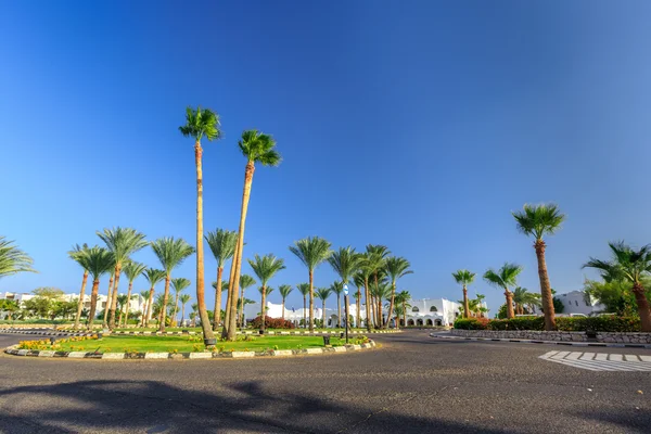 Blick auf Straße und Palmen in der Nähe der Hotels — Stockfoto