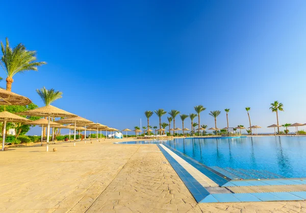 Вид на красивый бассейн, пальмы, зонтики от солнца — стоковое фото