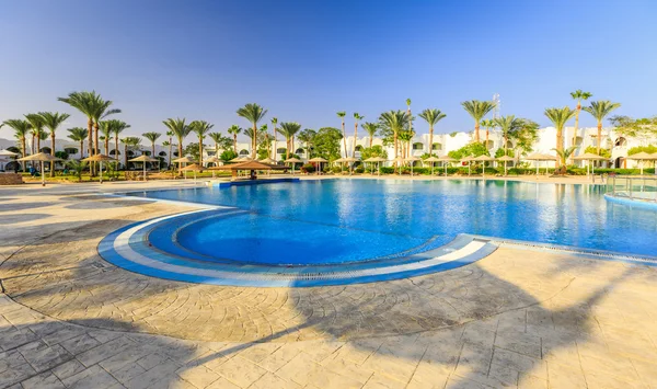 아름 다운 수영장과 야자수 나무 이집트에서 수영 — 스톡 사진