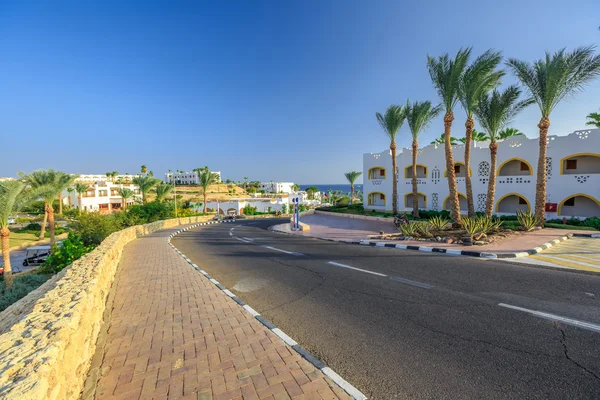 A vista para a estrada e palmeiras perto dos hotéis — Fotografia de Stock