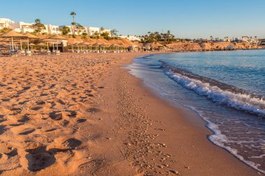 Güzel plaj sahil Red Sea, Mısır.