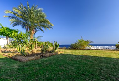 Tropikal tatil temiz manikürlü çimler, Mısır ayarla