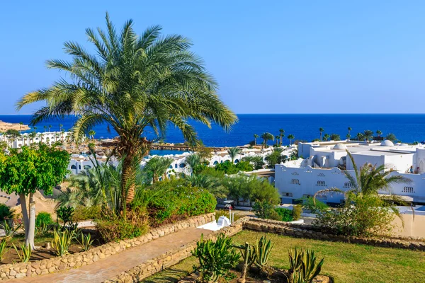 Panorama de la ciudad blanca en un complejo vacacional tropical, Egipto —  Fotos de Stock