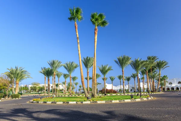 La vista a la carretera y las palmeras cerca de los hoteles —  Fotos de Stock