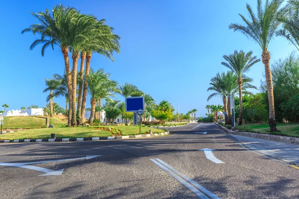 Вид на дорогу и пальмы рядом с отелями — стоковое фото