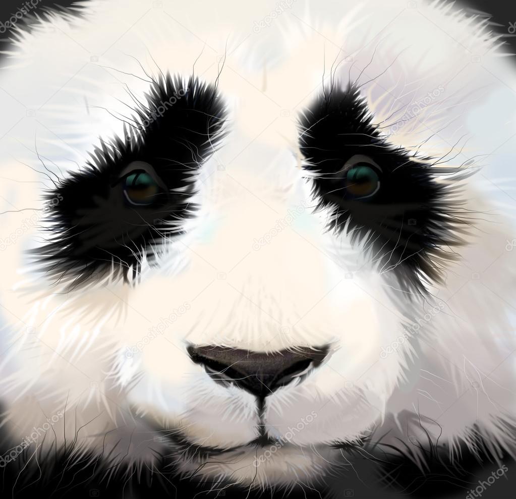 portrait of fluffy panda