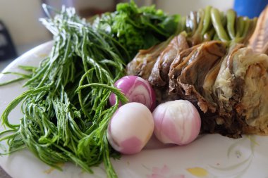 Akasya Pennata ve soğancık