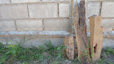 günlük ve çimento duvar