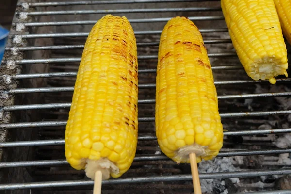 Gegrilltes Maisfutter — Stockfoto