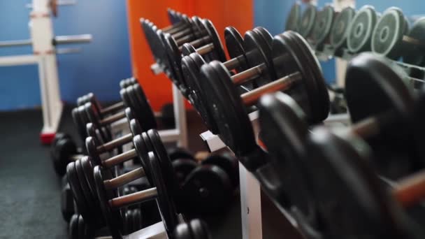 Man training with dumbbells — Stock Video