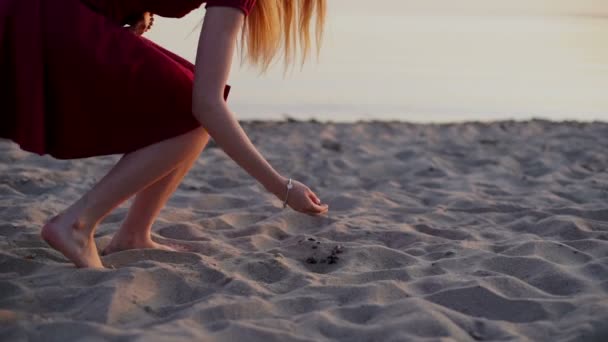 Девочка-подросток грабит раковины, собранные на пляже, закат на заднем плане — стоковое видео