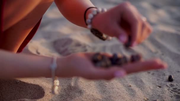 Teenage Girl Hold Up Shells which Collected On Beach, sunset In Background — Stock Video