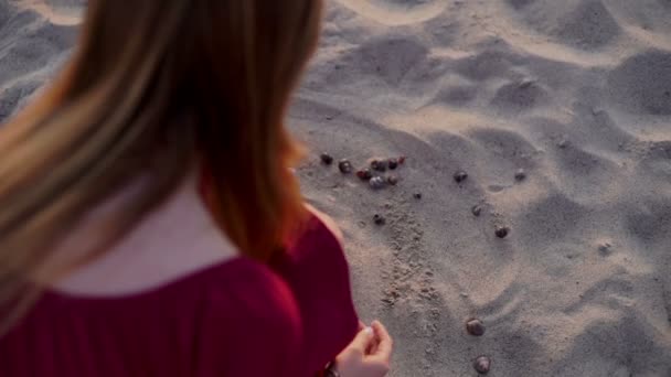 Tonårsflicka hålla upp skalen som samlas in på strand, solnedgång i bakgrunden — Stockvideo