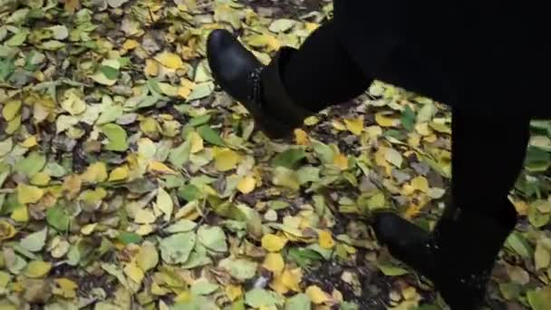 Молодые женские ноги ходят по осенним листьям — стоковое видео