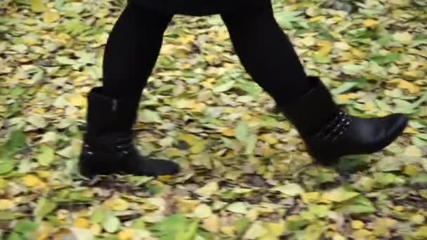 가 잎에 걷는 젊은 여성 다리 — 비디오