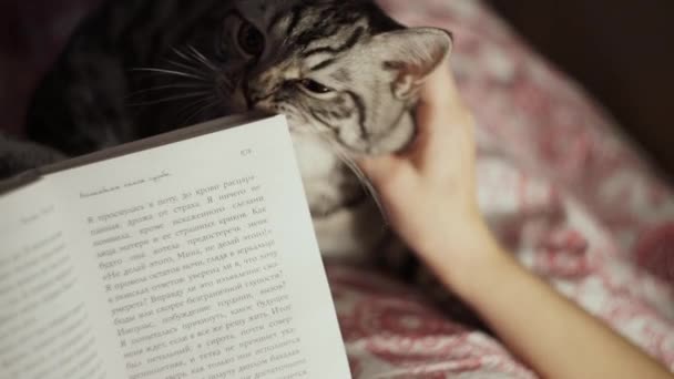 Jeune fille lisant un livre avec son chat à la maison 