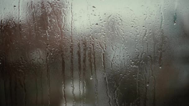 DROPS van regen op glas achtergrond bokeh — Stockvideo