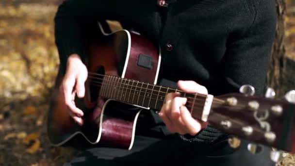 Chlapík s plnovousem se hrát na kytaru v lese — Stock video