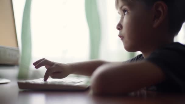 Kleine jongen met behulp van computer, vroeg onderwijs — Stockvideo