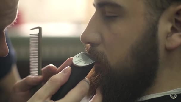 Gros plan coiffeur séchant les cheveux d'un jeune homme barbu — Video