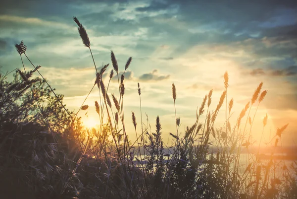 Pôr do sol à beira-mar . — Fotografia de Stock