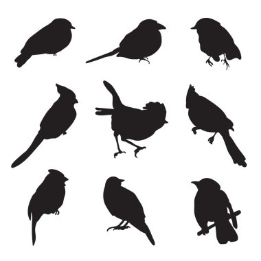 kuş silhouettes kümesi