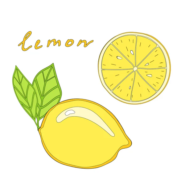 Vector aislado limón y rebanada — Vector de stock
