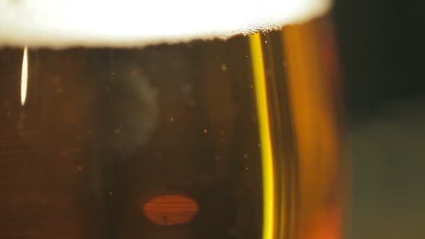 Bollicine di birra in un bicchiere — Video Stock